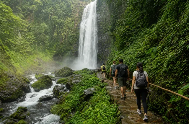 Waterfall and tropical greenery